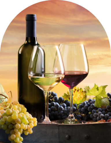 coupes_vins_et_bouteille